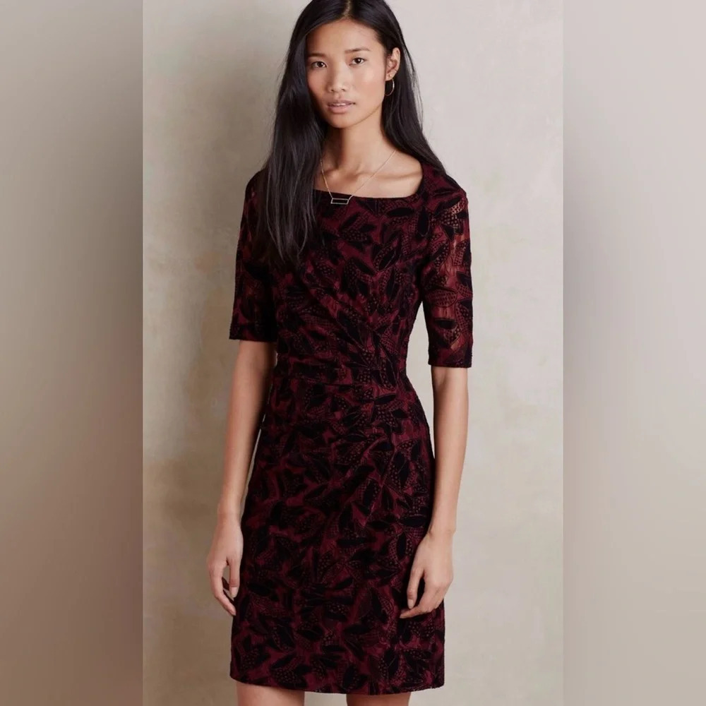 Anthropologie | Maeve | Elorn Lace Fitted Sheath Dress